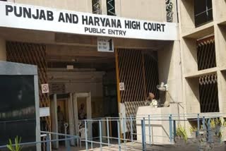 HC COURT ON GOVERNMENT JOB
