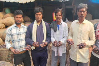 Water Chestnut Farmers