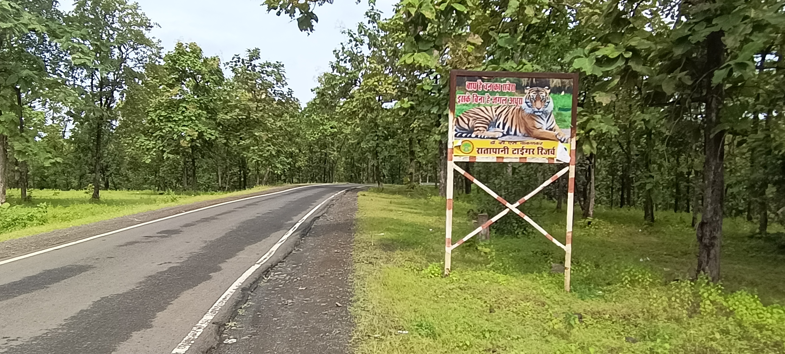 MADHYA PRADESH TIGER RESERVE