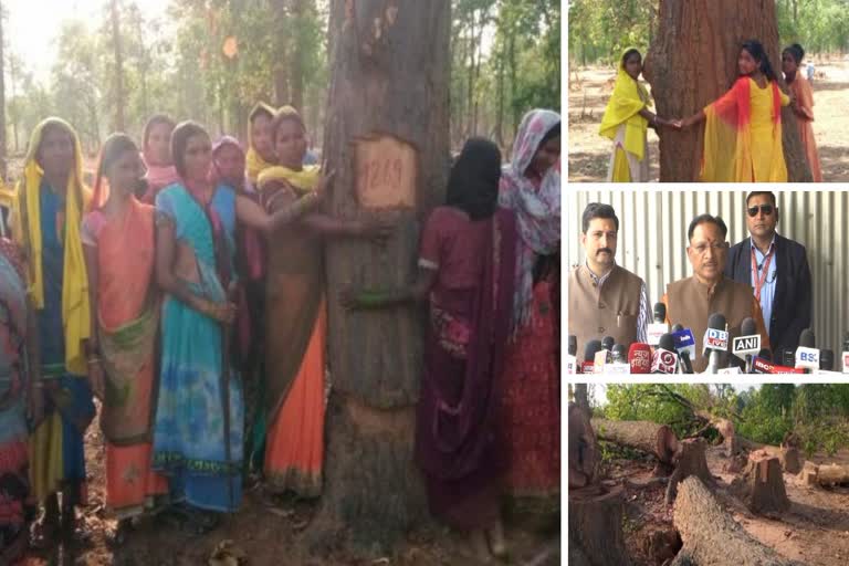 Congress responsible for deforestation of Hasdev