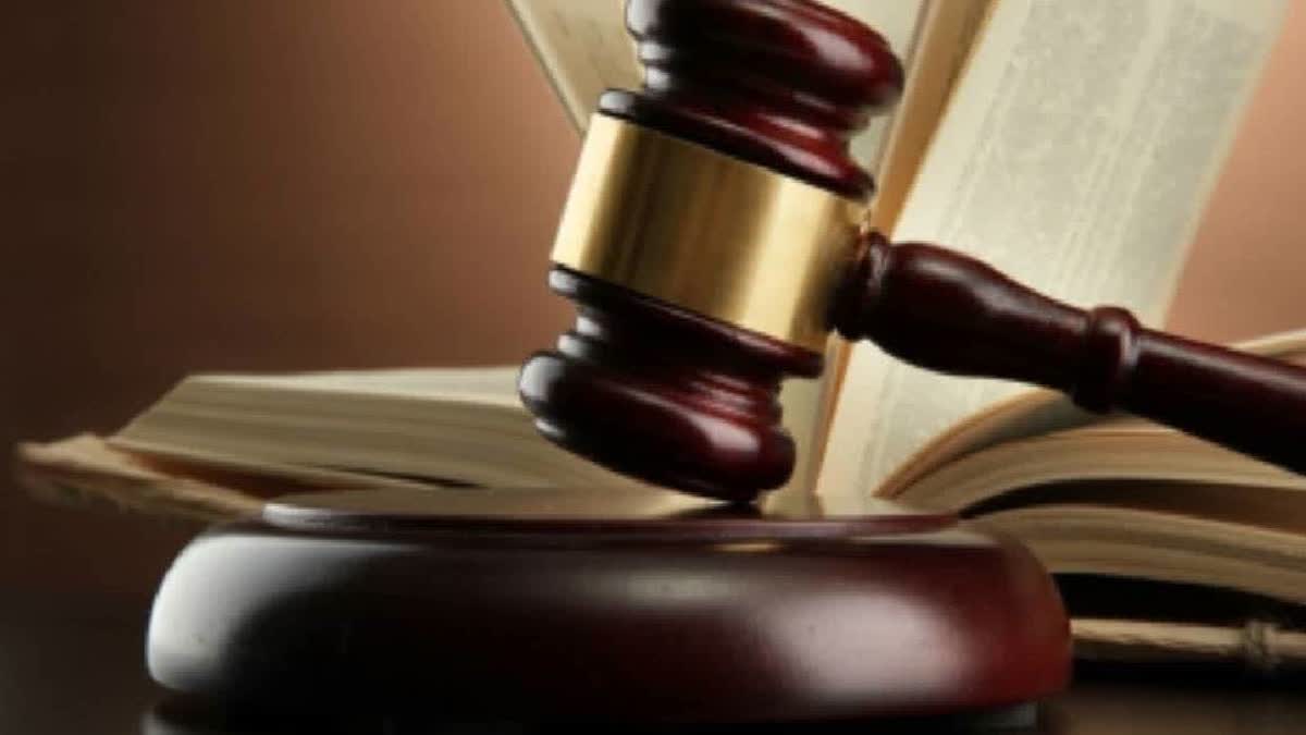 Delhi Court Acquits 3 Key Accused In 2009 Shaheen Malik Acid Attack Case