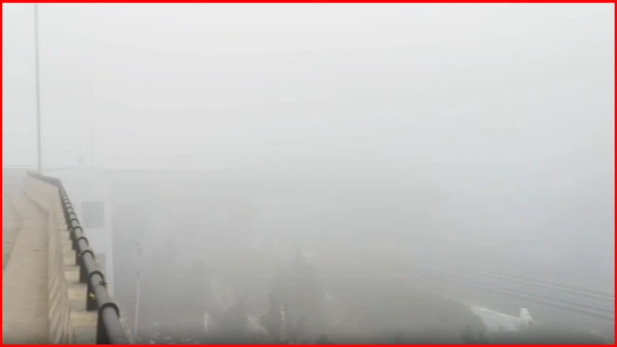 हरियाणा में घने कोहरे का अलर्ट