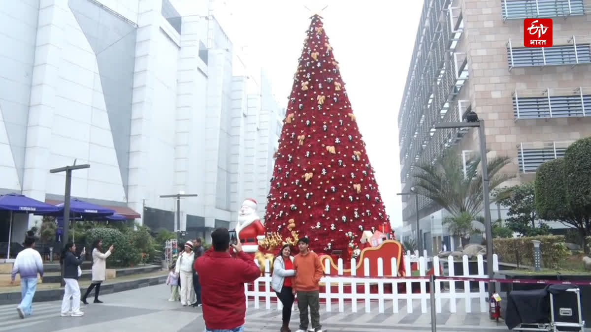 Christmas celebrations in Chandigarh crowds gather to see the 30 feet tall Christmas tree at Elante Mall