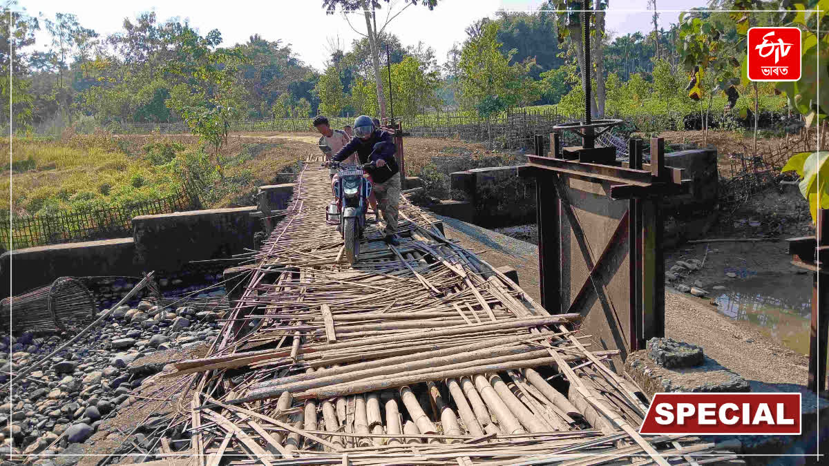 Barpathar broken bamboo bridge
