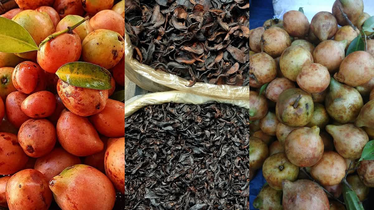 Kuji Thekera: A Great Natural Medicine for Optimal Health and Wellness