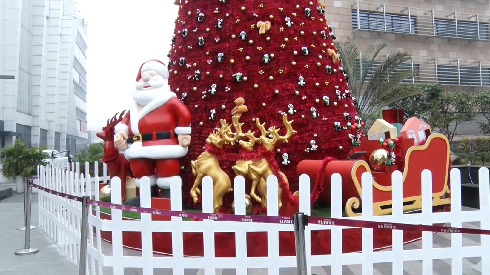 Christmas celebrations in Chandigarh crowds gather to see the 30 feet tall Christmas tree at Elante Mall