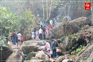 Many picnickers are enjoying the uninterrupted beauty of Dimoria