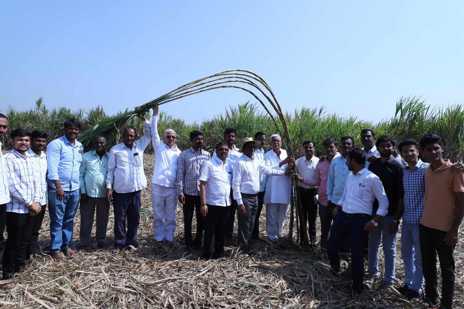 At 72, Belagavi Farmer Earns Rs 11 Lakh Profit By Harvesting 391 Tonnes Of Sugarcane From Three Acres Of Farmland