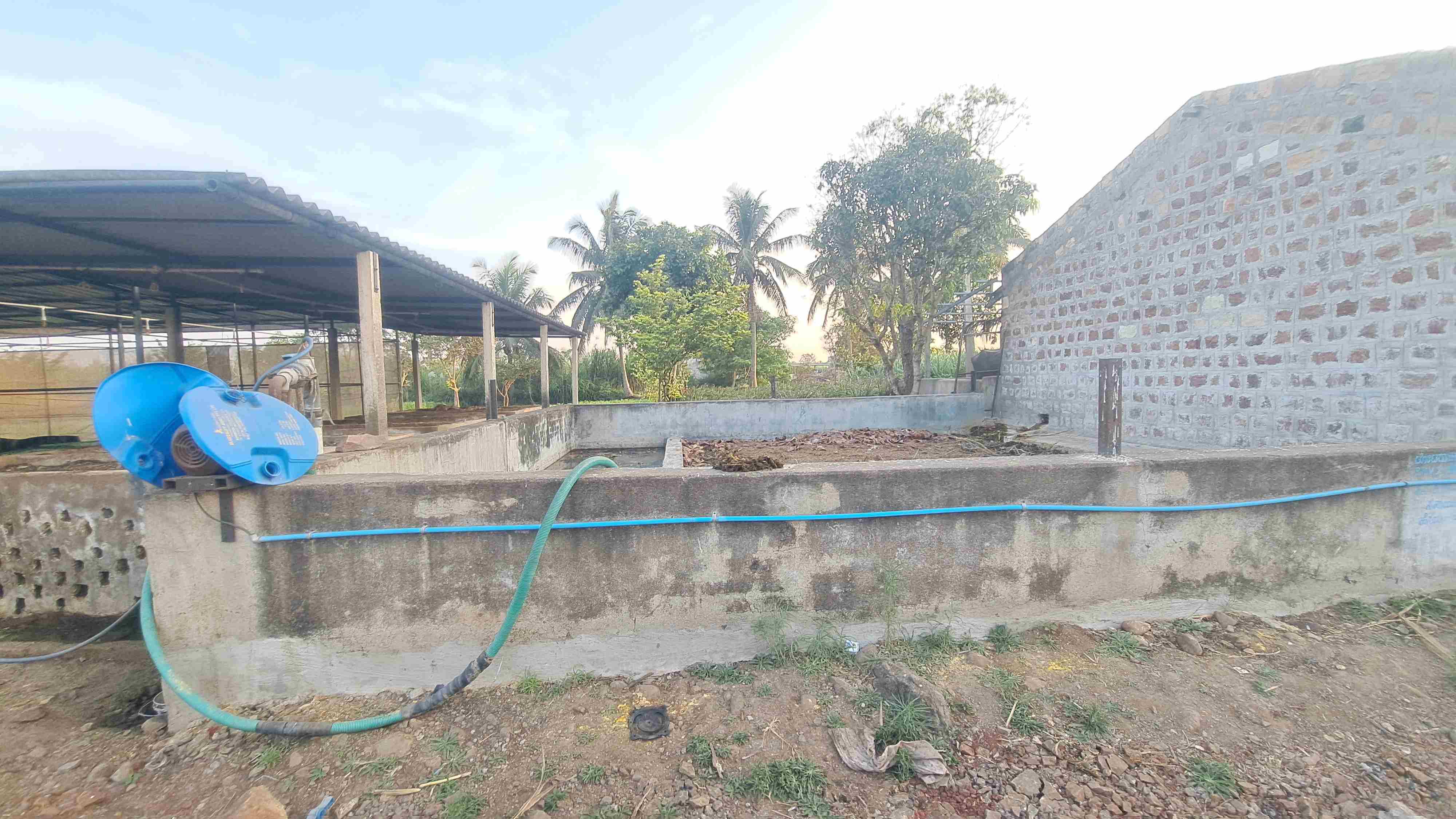 At 72, Belagavi Farmer Earns Rs 11 Lakh Profit By Harvesting 391 Tonnes Of Sugarcane From Three Acres Of Farmland