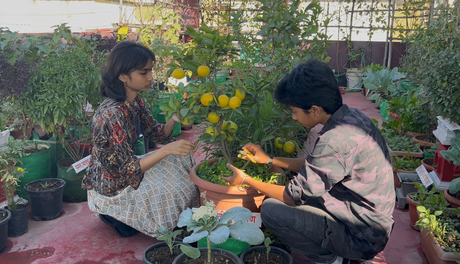 Vasant Bahar - Carving the Life with Health: A book written by two sisters to highlight the importance of organic farming