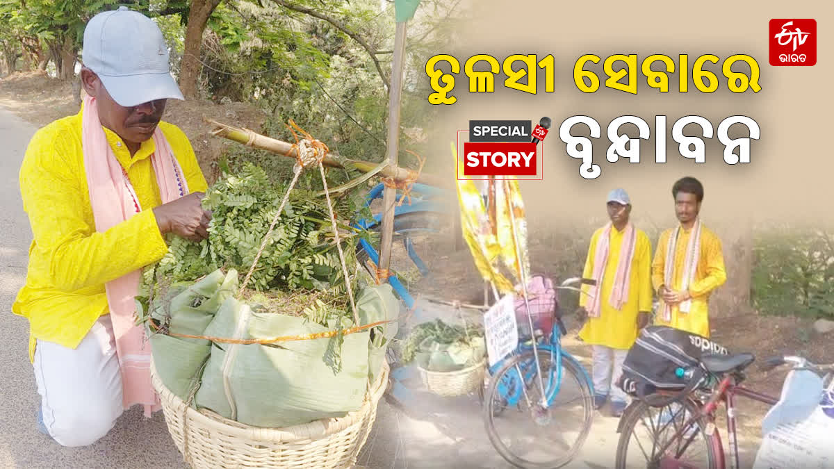 tulasi sevak brundaban