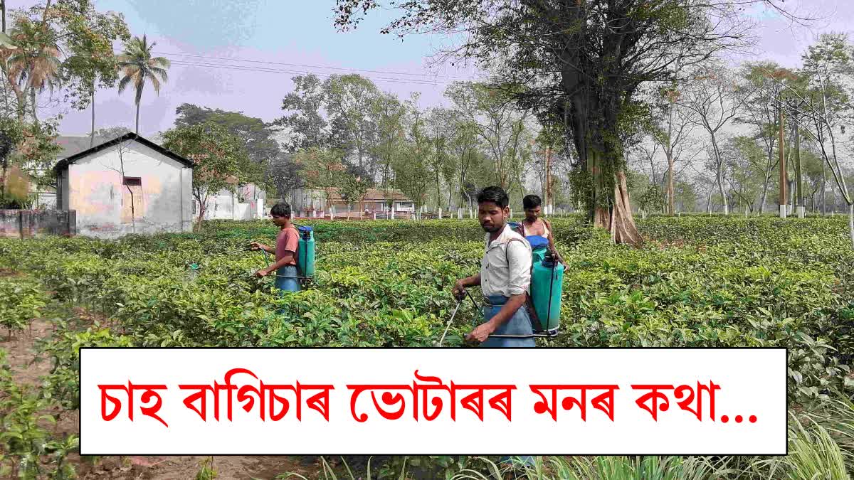 Assam Assembly Elections 2026