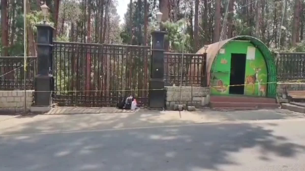 புலி தாக்குதல் எதிரொலியாக ஊட்டியில் மூடப்பட்ட பைன் ஃபாரஸ்ட் சுற்றுலாத தலம்