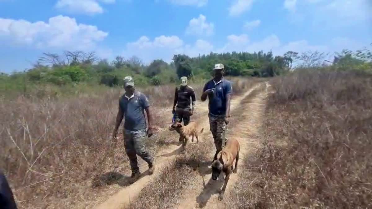 dog-squad-enters-the-field-to-track-wild-elephants