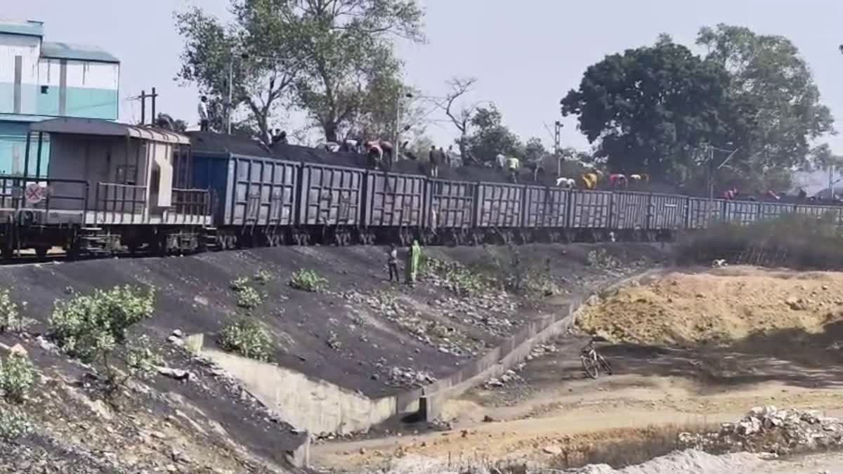 SINGRAULI NCL COAL STOLEN