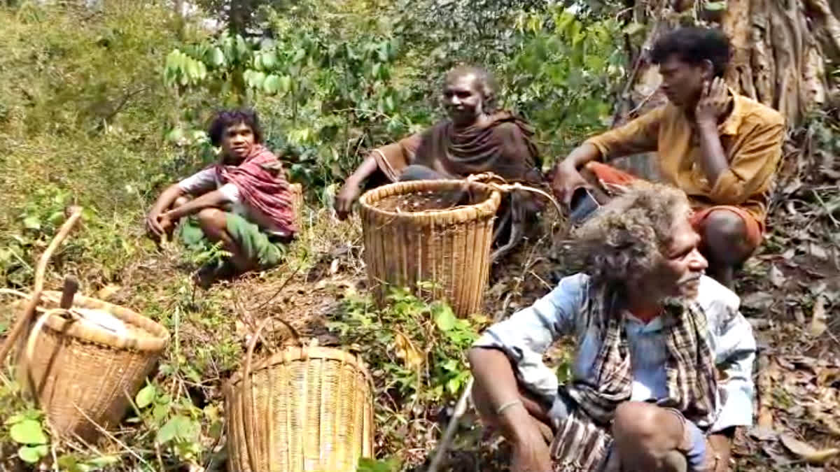 CHOLANAIKKAN TRIBE  MALAPPURAM NILAMBUR TRIBAL  CAVEMENS STORY  WILD ELEPHANT ATTACK CASES