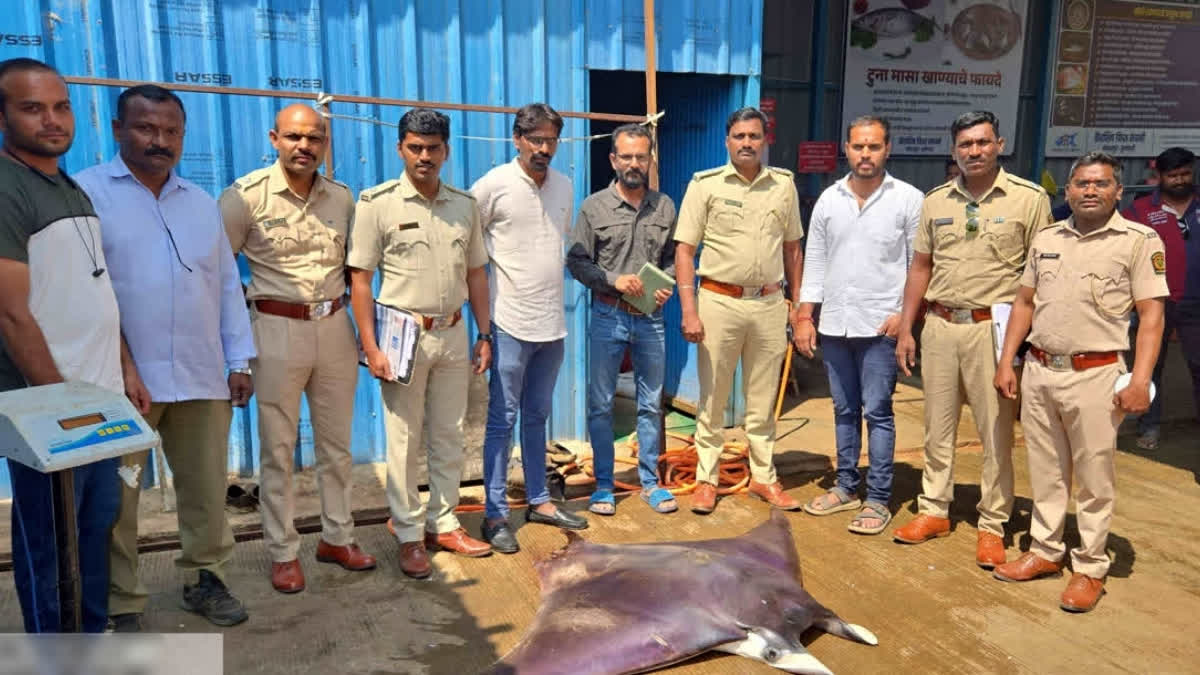 Maharashtra Man Booked For Illegally Hunting, Selling Rare Fish