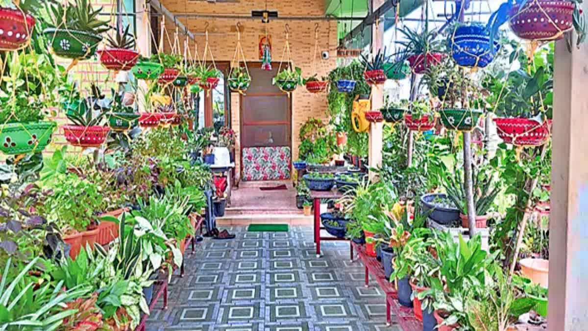 Plants Without Soil May Be the Future of Nurseries