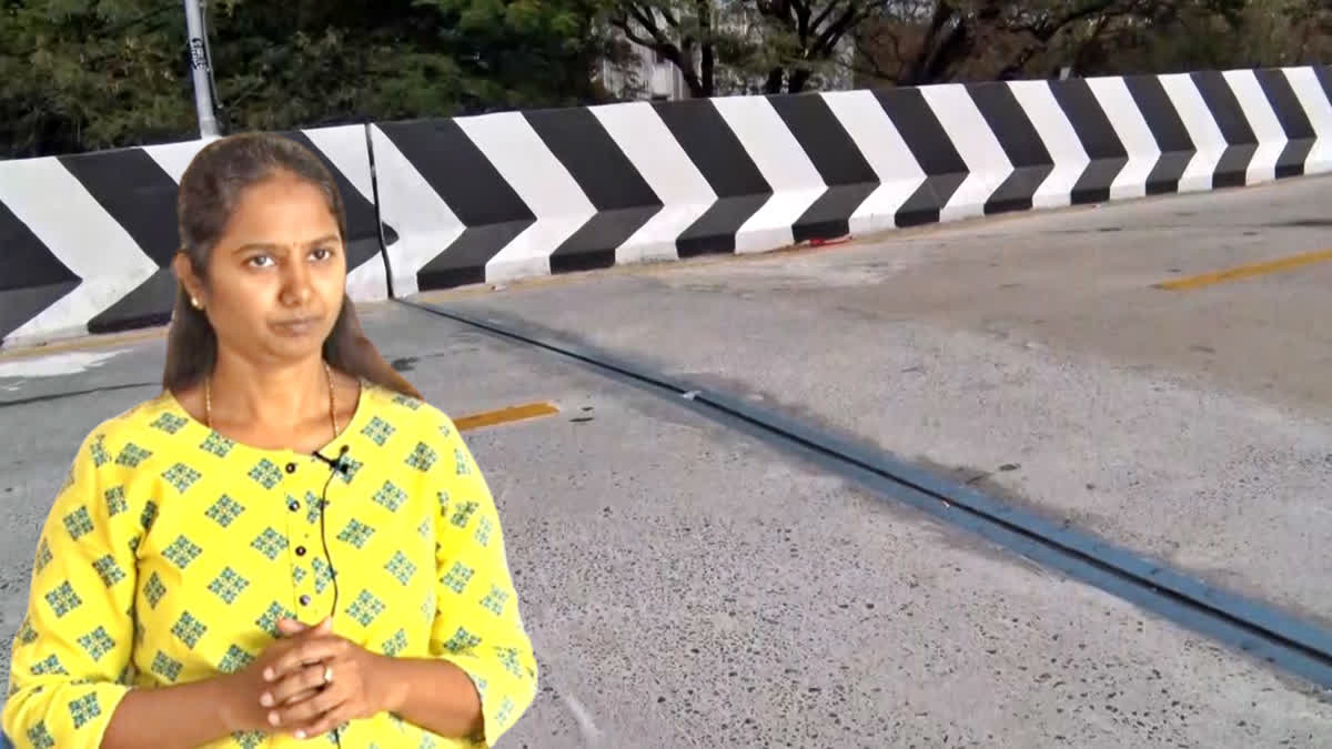 பாலம் மற்றும் விஞ்ஞானி சிந்துவின் புகைப்படம்