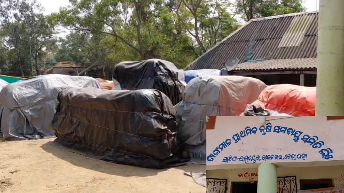 ମଣ୍ଡି ନିର୍ଯାତନା କାରଣରୁ ଚାଷୀ ମୃତ୍ୟୁ ଅଭିଯୋଗ: କେନ୍ଦ୍ରାପଡ଼ା ଜିଲ୍ଳାପାଳ କହିଲେ, ତଦନ୍ତ ପରେ କାର୍ଯ୍ୟାନୁଷ୍ଠାନ