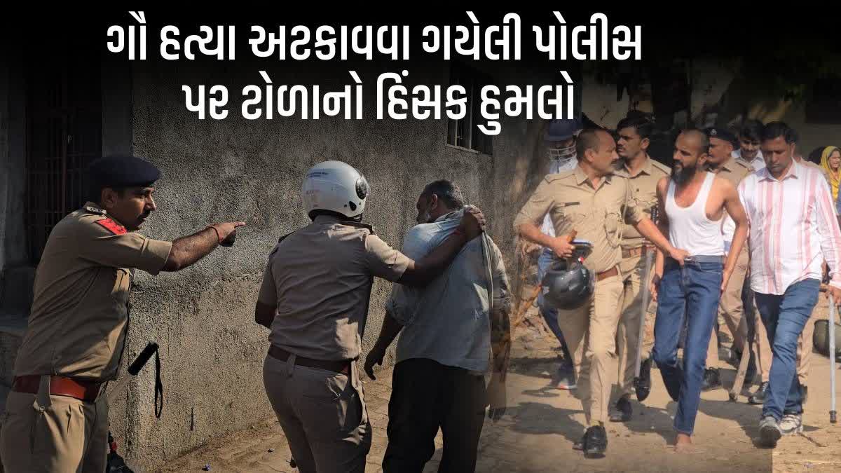 ગૌ હત્યા અટકાવવા ગયેલી પોલીસની ટીમ પર હુમલો