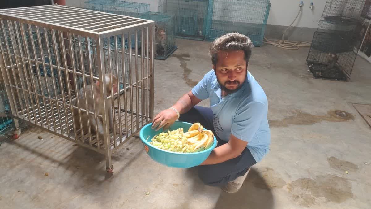 KARNAL PAWAN ANIMAL RESCUE HERO