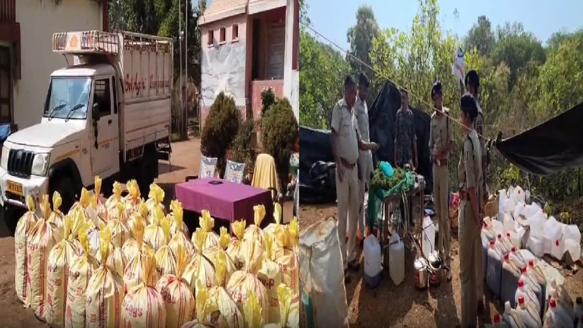 In a major breakthrough, police seized more than 1,800 litres of cannabis oil worth over Rs 200 crores and dismantled an inter-state illegal production unit operating in a remote forest area of Odisha's Koraput district.