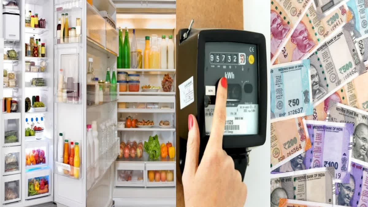 REDUCE YOUR ELECTRICITY BILL  FRIDGE HIDDEN BUTTON  HIDDEN BUTTON LOWERS ELECTRICITY  ಫ್ರಿಡ್ಜ್​ನ ವಿದ್ಯುತ್ ಬಿಲ್ ಕಡಿಮೆ