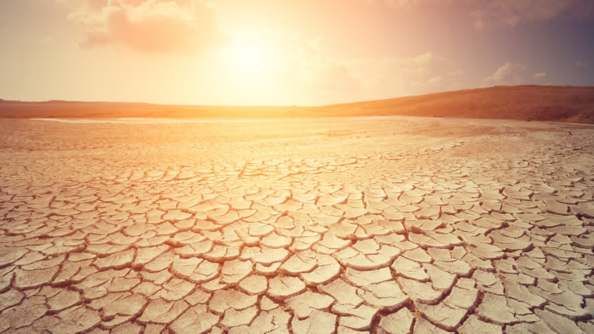 Representational image