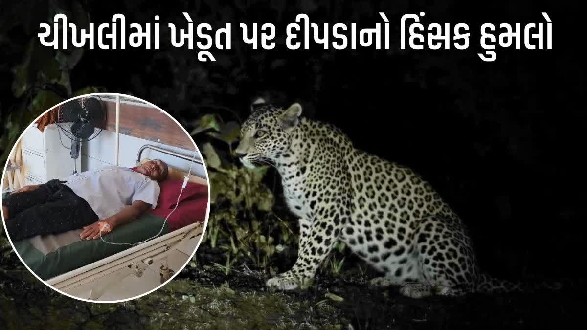 ચીખલીના ખાંભળામાં ખેડૂત પર દીપડાનો હિંસક હુમલો,