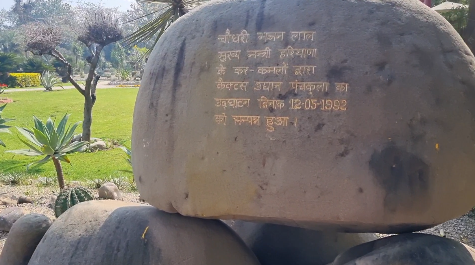 panchkula-is-now-home-to-asias-largest-cactus-garden-featuring-over-1500-varieties-of-cacti-including-a-28-foot-tall-cactus