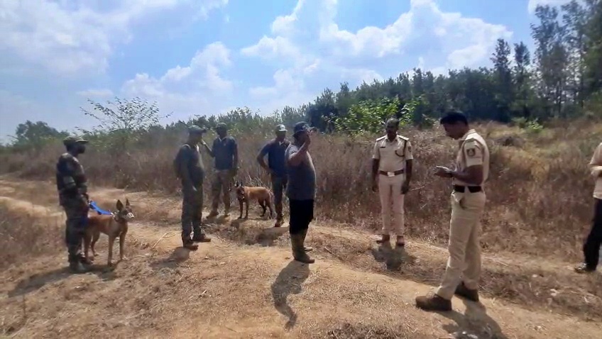 dog-squad-enters-the-field-to-track-wild-elephants