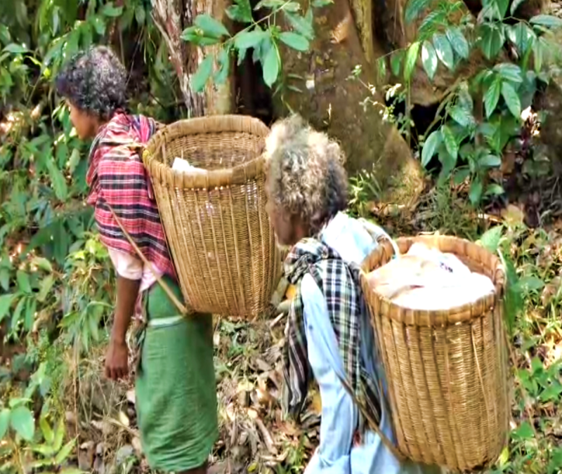 CHOLANAIKKAN TRIBE  MALAPPURAM NILAMBUR TRIBAL  CAVEMENS STORY  WILD ELEPHANT ATTACK CASES