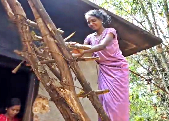 CHOLANAIKKAN TRIBE  MALAPPURAM NILAMBUR TRIBAL  CAVEMENS STORY  WILD ELEPHANT ATTACK CASES