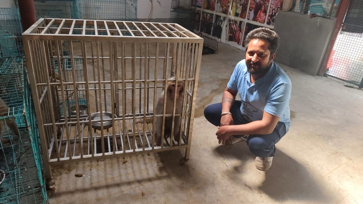 KARNAL PAWAN ANIMAL RESCUE HERO