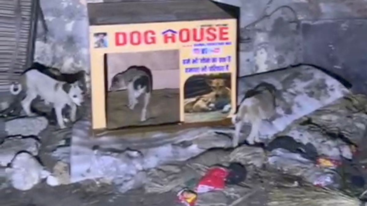 KARNAL PAWAN ANIMAL RESCUE HERO