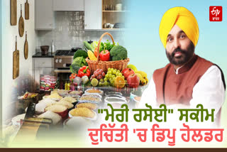 Opinion of depot holders about my kitchen scheme