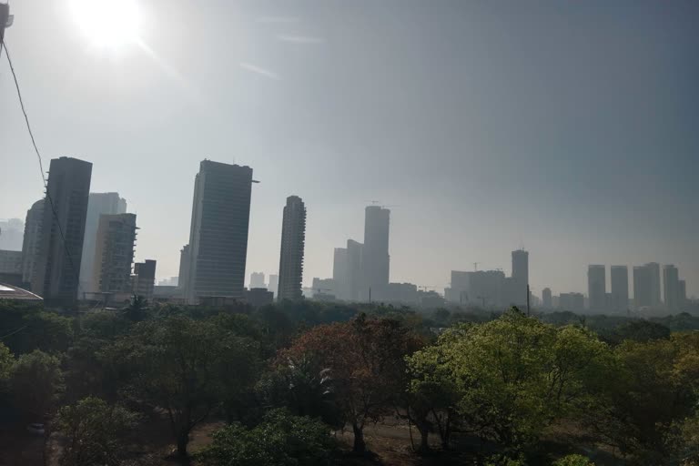 प्रातिनिधिक चित्र