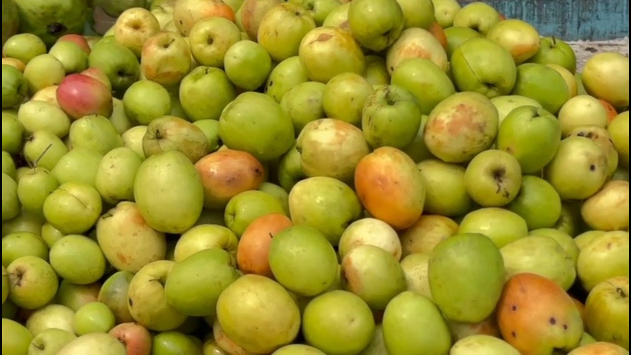 apple shaped sweet plum