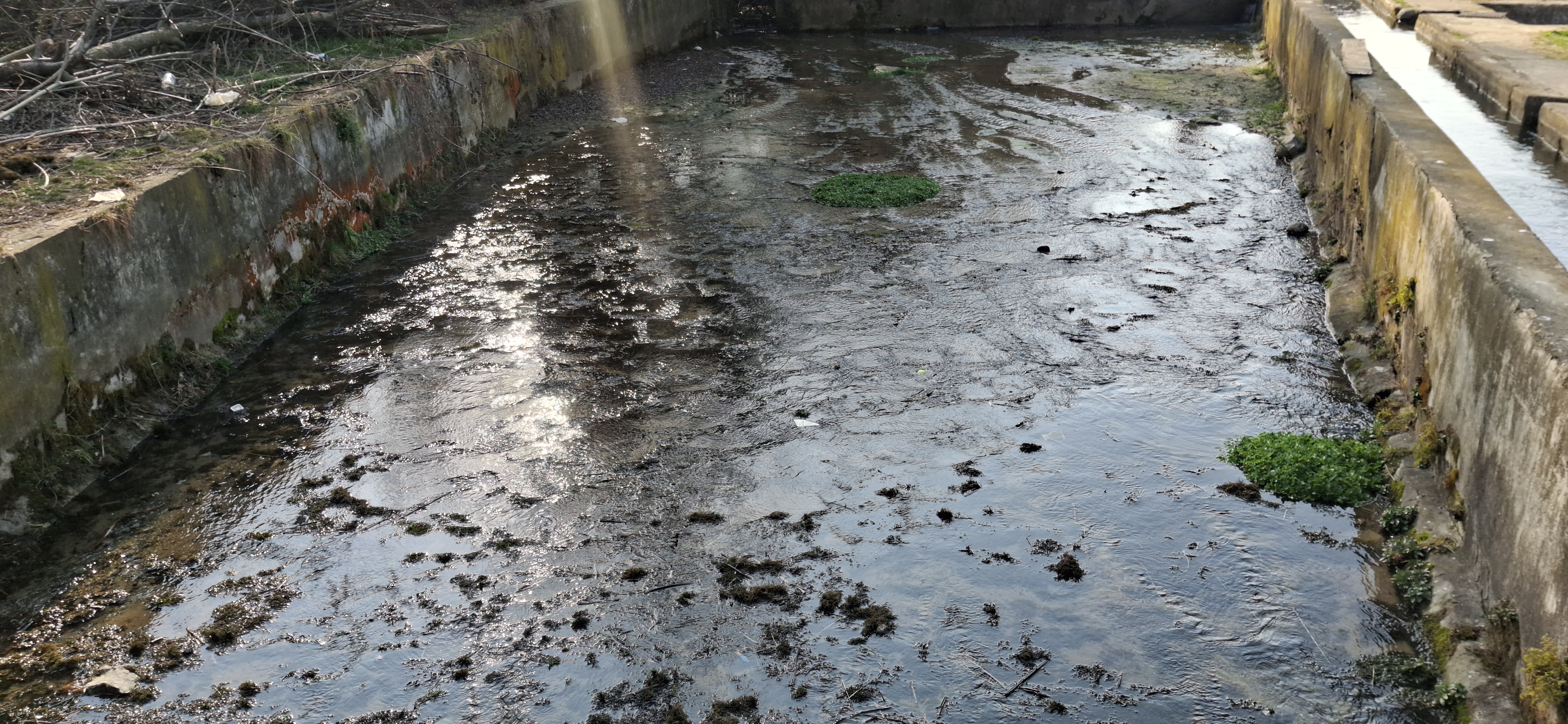 water scarcity poses serious challenges to the Fisheries sector in Kashmir