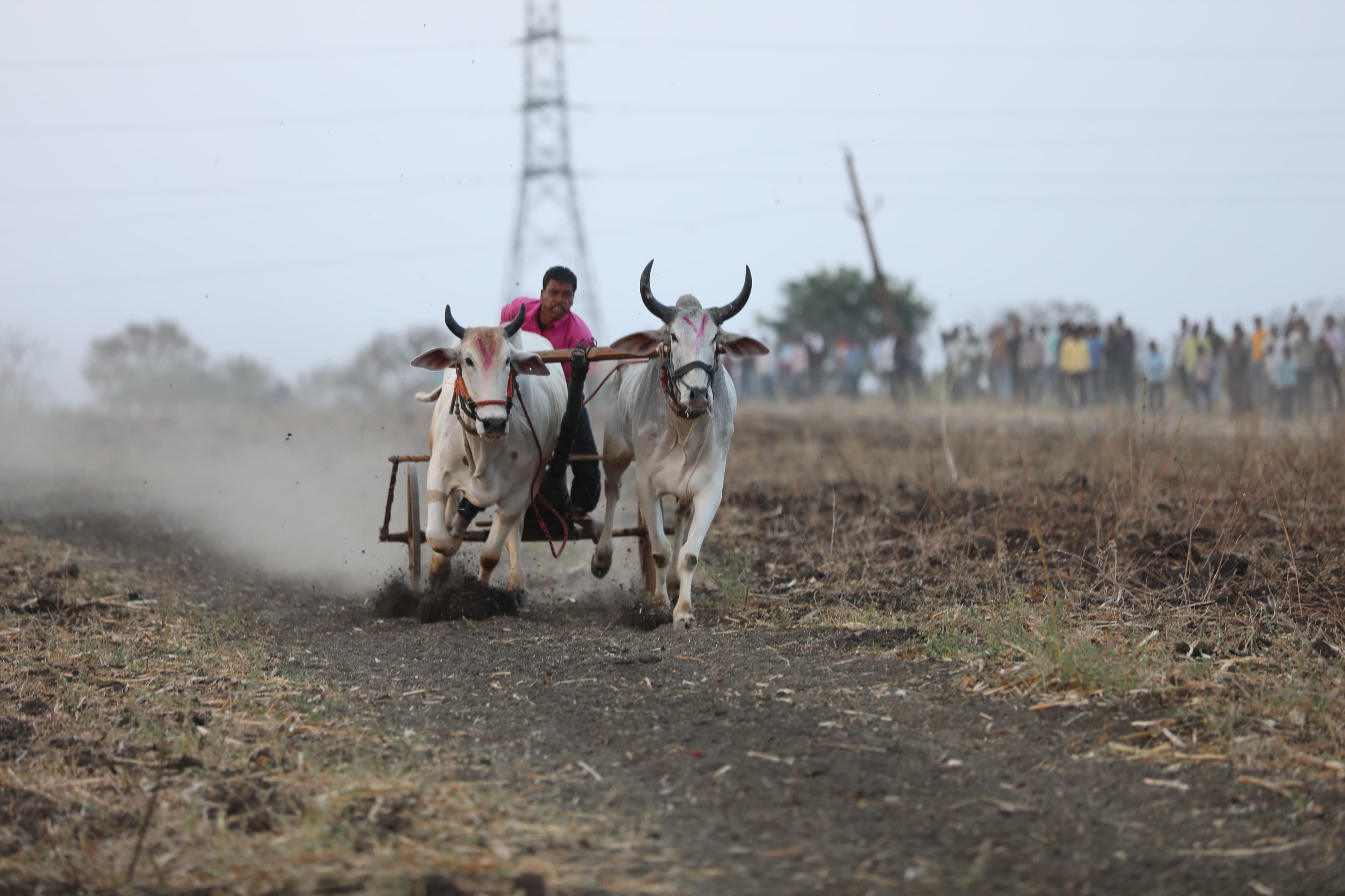 Chhindwara Promotion of traditional sports