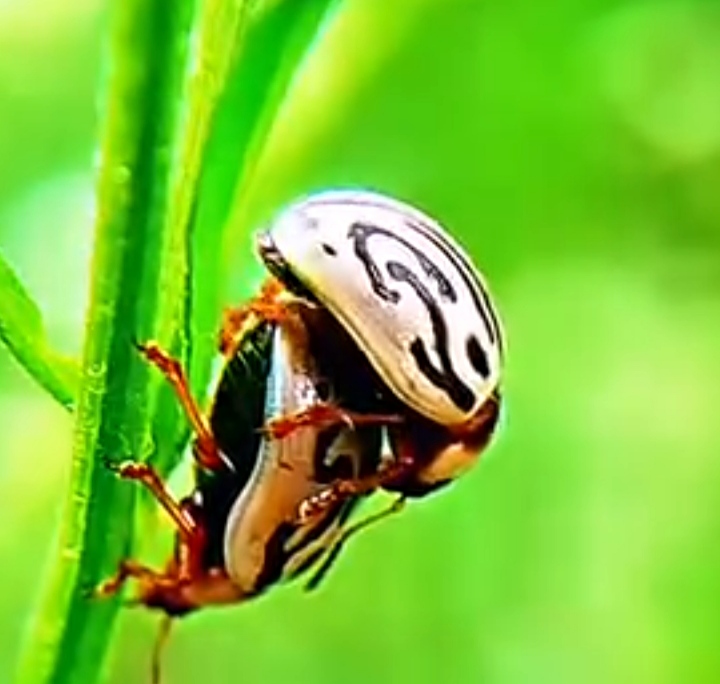 SAGAR SCIENTIST DR ARCHANA ANOKHE