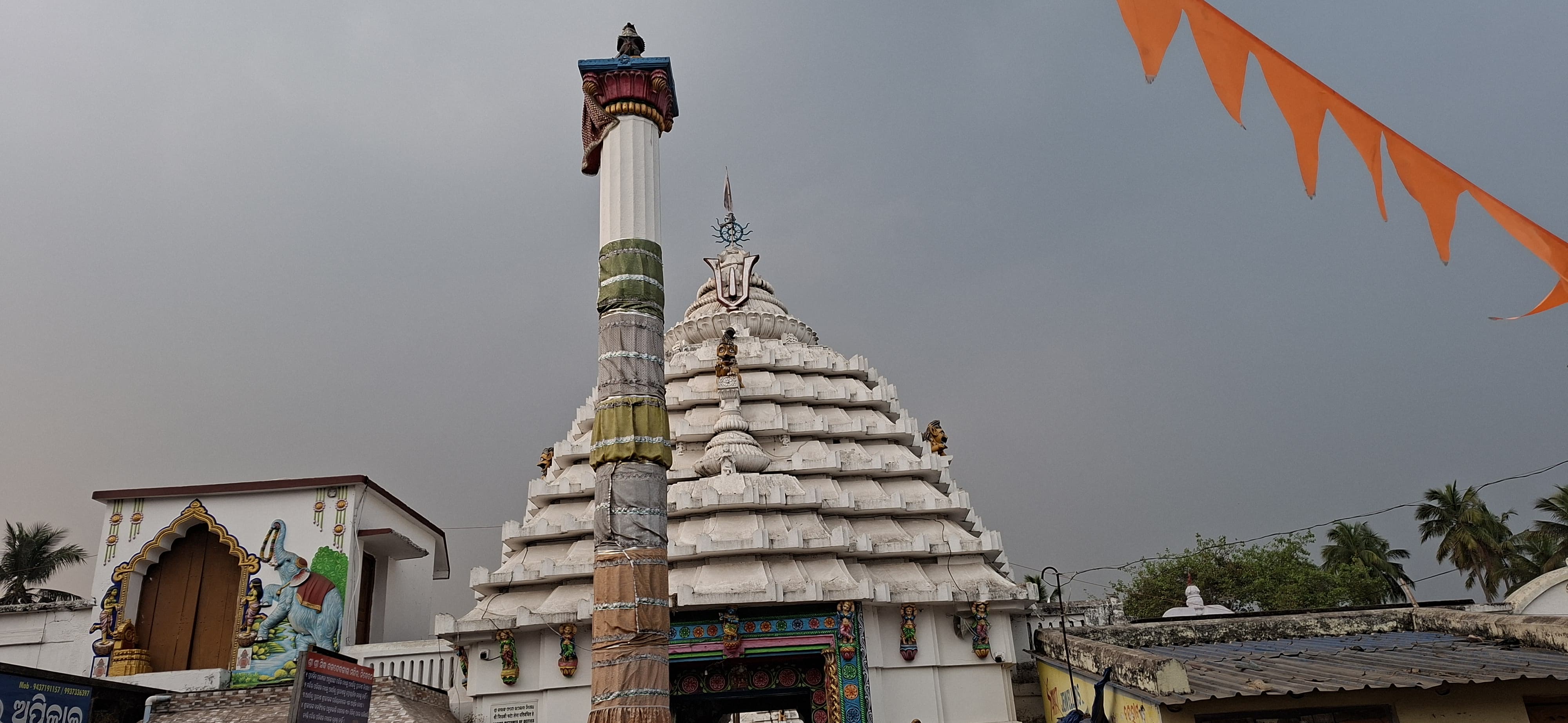 Odisha Govt Sanctions Rs 1 Crore For Lord Baladevjew New Chariot