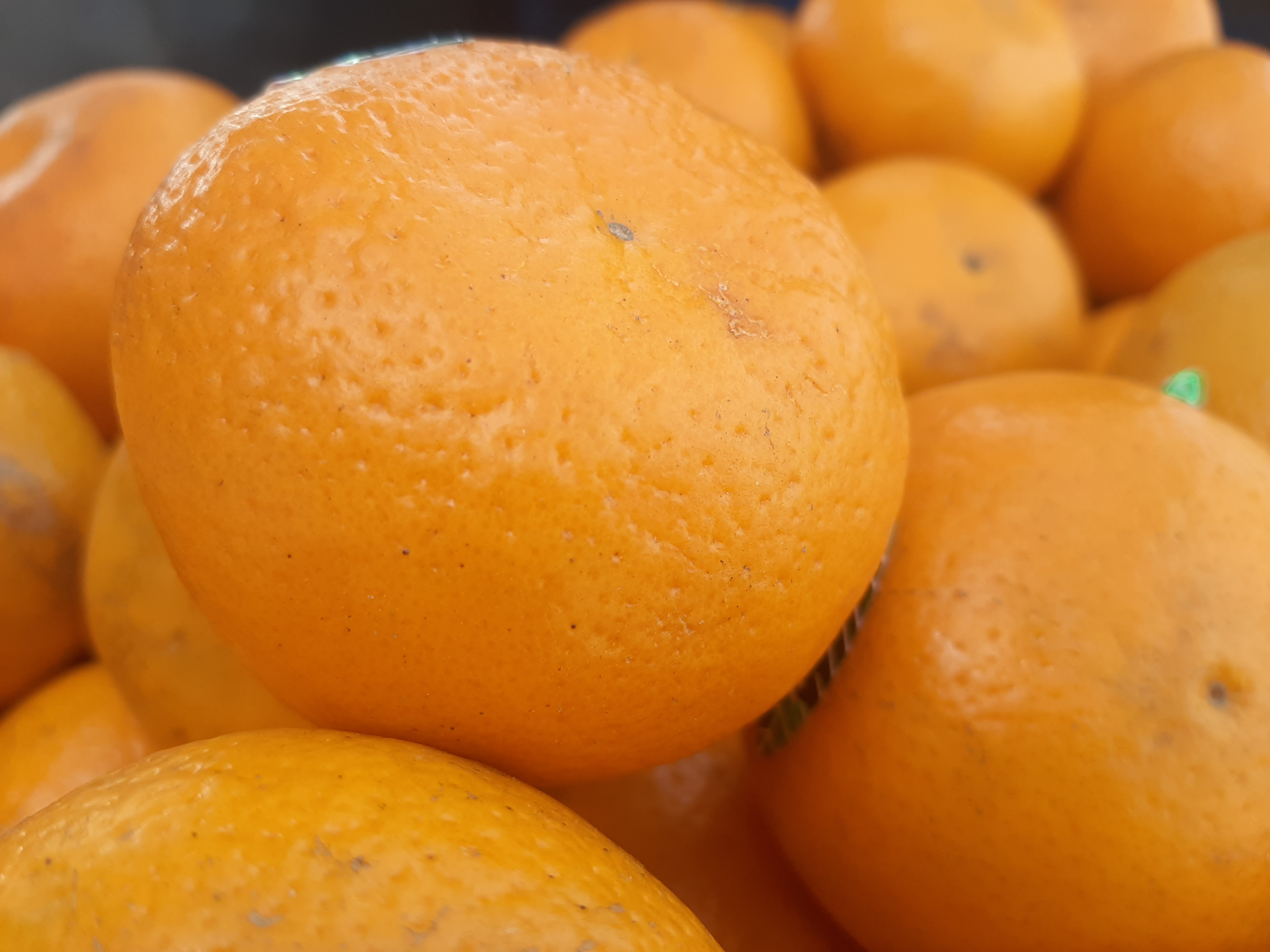 બજારમાં નારંગીનું આગમન