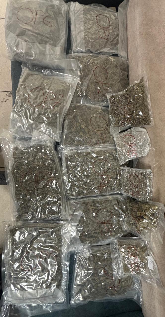 பறிமுதல் செய்யப்பட்ட கஞ்சா