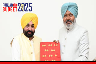Punjab Budget 2025