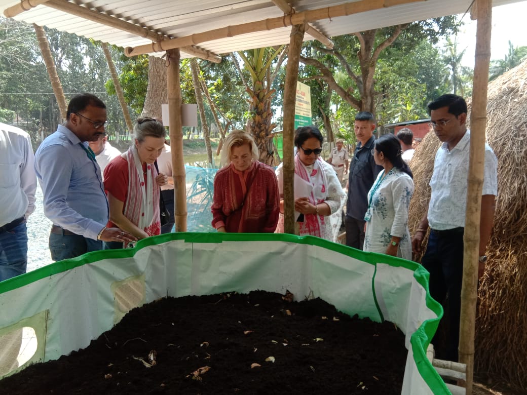 Norwegian ambassador