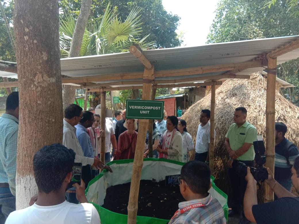 Norwegian ambassador