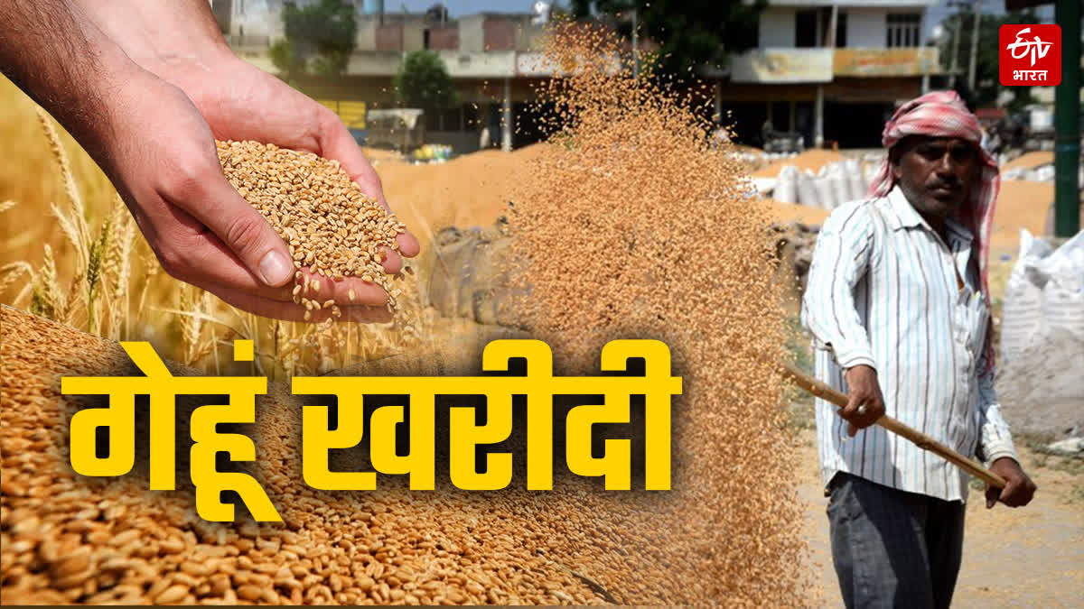WHEAT PROCUREMENT SLOT BOOKING DATE