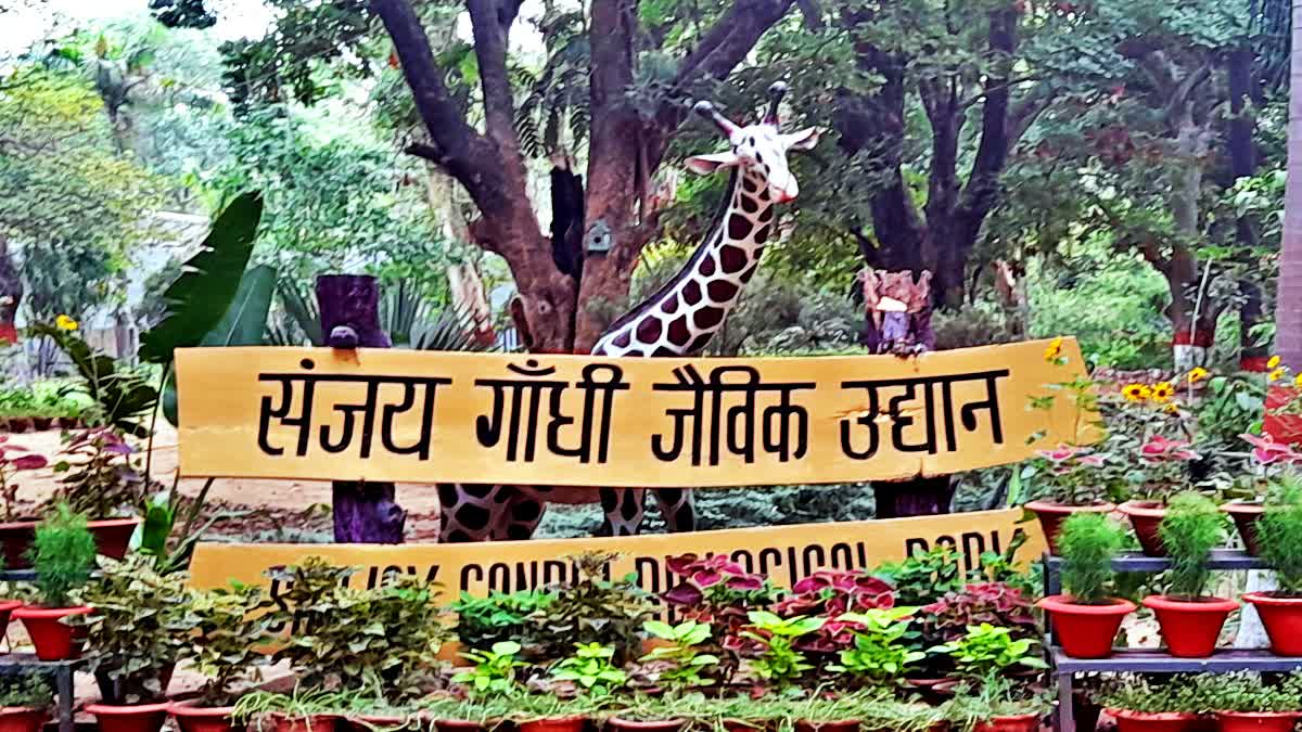 SANJAY GANDHI JAIVIK UDYAN